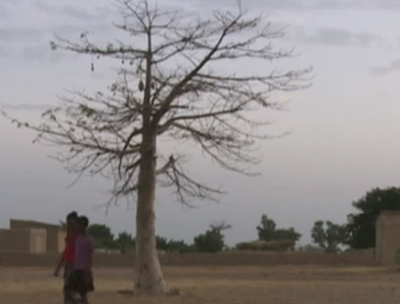 Malian Village Thriving On Solar Power - Net 0 Energy homes